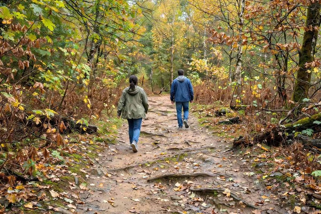 Couple hiking together on a colorful forest trail during autumn.