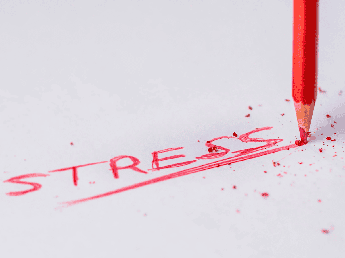 stress and physical health